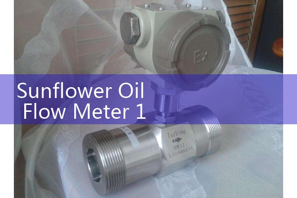 Sunflower Oil Flow Meter 100 L/h: Continuous Flavoring Injection Control Systems
